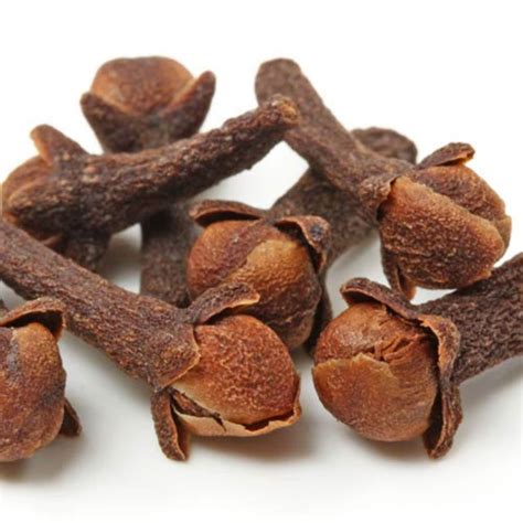 Premium Quality Fresh Raw Organic Whole Cloves Laung 200 Grams Etsy