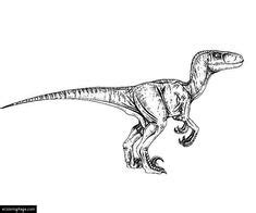 Free jurassic world coloring pages. jurassic park/world coloring page - Google Search | Visual ...