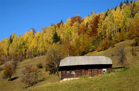 Free Images Landscape Tree Nature Forest Wilderness Trail Farm