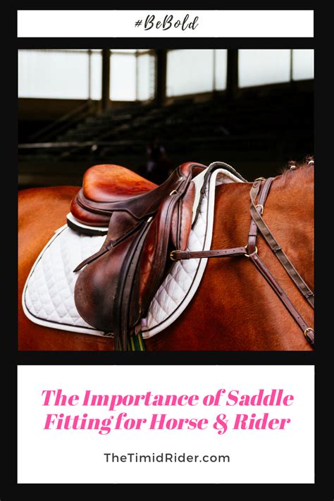 The Importance Of Saddle Fitting For Horse And Rider The Timid Rider