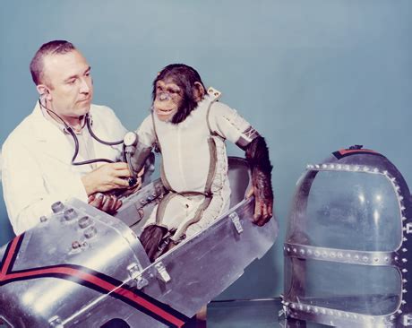 Say Hello Spaceman: Ham Space Monkey (1961)