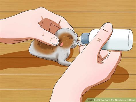 They require attention and care around the clock. How to Care for Newborn Kittens: 13 Steps (with Pictures)
