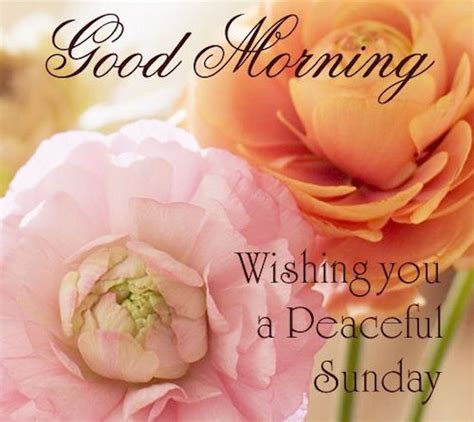 Good Morning Wishing You A Peaceful Sunday Quote Pictures Photos And