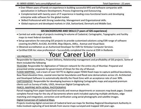 Your Career Lion Resume A Key To Door Of Successful Career