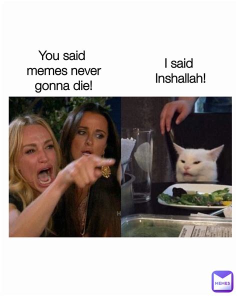 I Said Inshallah You Said Memes Never Gonna Die Mollythememequeen