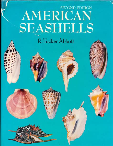 American Seashells The Marine Mollusca Of The Atlantic And Pacific