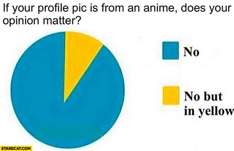 If Your Profile Pic Is From An Anime Does Your Opinion Matter No But