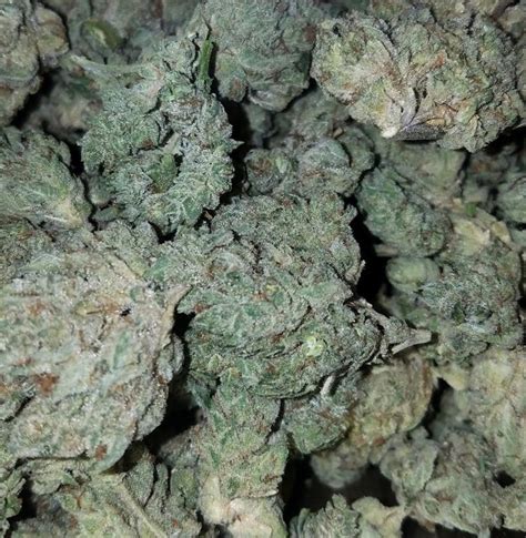 Gorilla Glue Flower Strain Orange County Cannabis Delivery