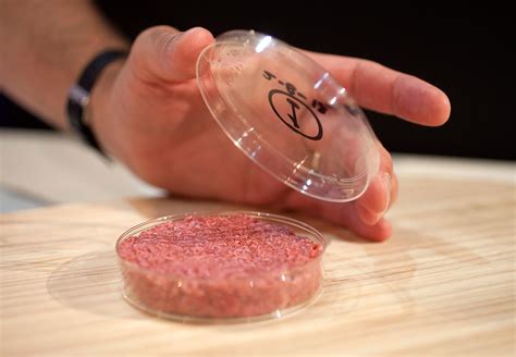 5 Lab Grown Burger Could Be Ready By 2021 Genetic Literacy Project