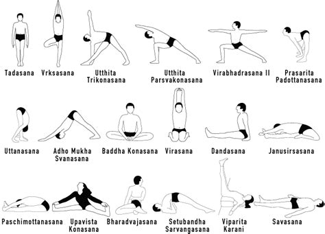Yoga Asanas Dr Steven Greer