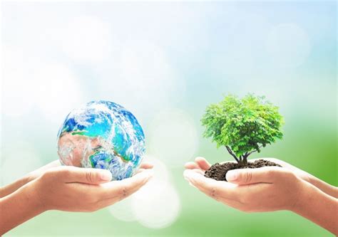 Cuidar El Medio Ambiente Reciclar Reutilizar Y Reducir Basura Bioguia