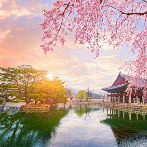 5 Hidden Gems To Visit In South Korea