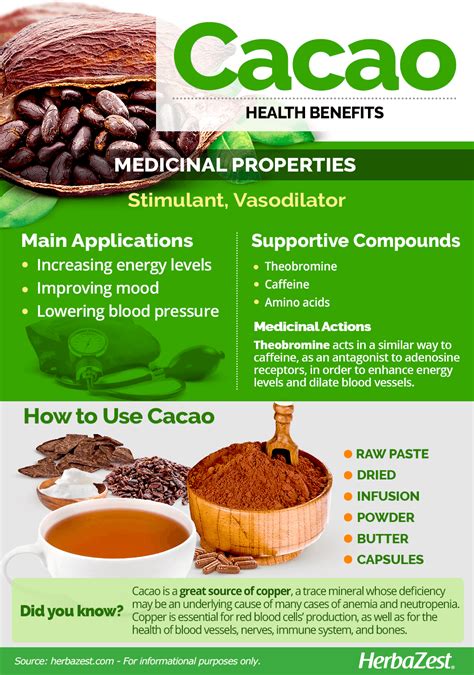 Cacao Herbazest Cacao Health Benefits Nutrition Recipes Health Food