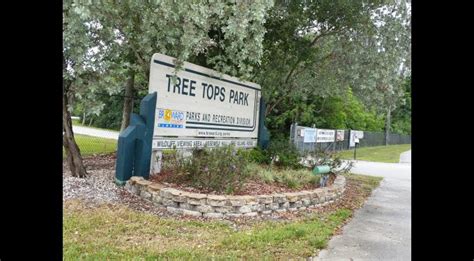 Tree Tops Park South Florida Finds