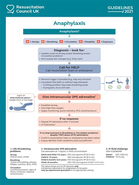 Anaphylaxis Algorithm 2021 Pdf Intravenous Therapy