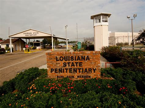 A Black Man In Louisiana Sentenced To Life In Prison For Stealing Hedge