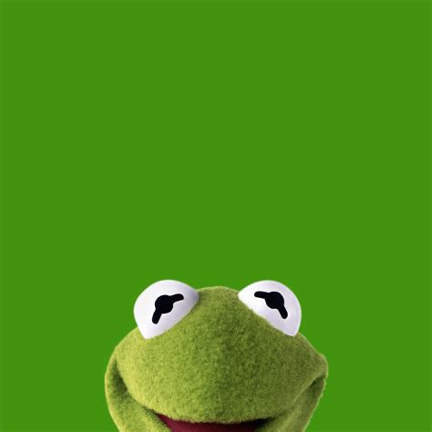 Kermit Wallpapers Wallpaper Cave