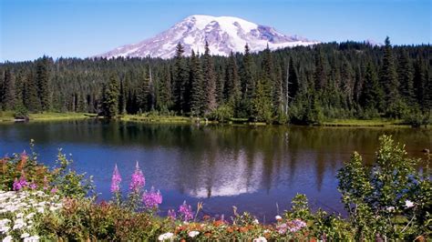 Dream - Mount Rainier (FREE DOWNLOAD) | WinCustomize.com