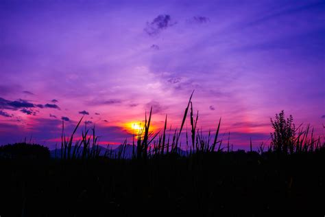 2560x1080 Resolution Golden Hour Photography Twilight Grass Sky Hd