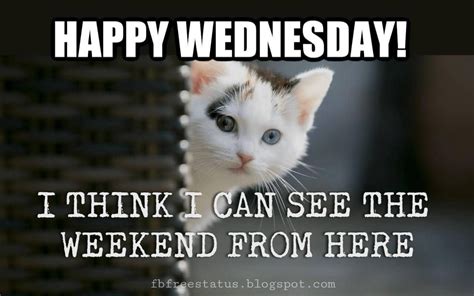 26 Best Happy Wednesday Memes Funny That Makes You Laugh Funny