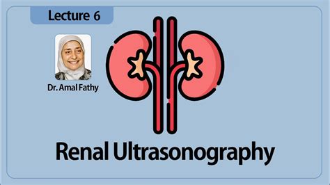 Renal Ultrasonography Youtube