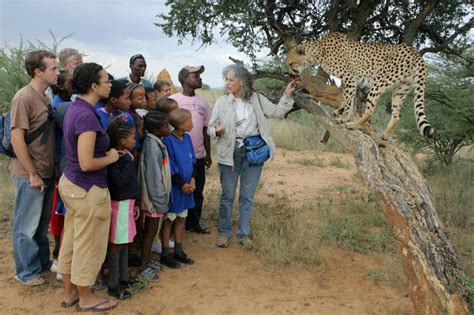 Cheetah Conservation Fund Namibia Reviews Pictures