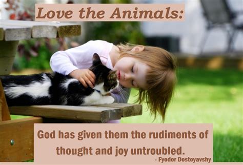 Quotes About Animal Love 87 Quotes