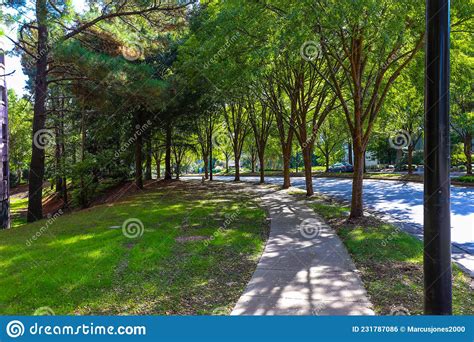 Curving Sidewalk On A College Campus Royalty Free Stock Photography