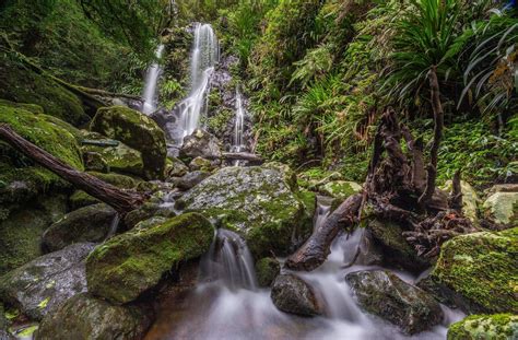Get Up To Lamington National Park While The Creeks Are Still Flowing