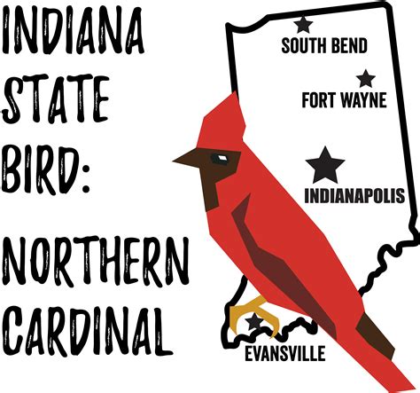 Indiana State Bird Bird Watching Academy