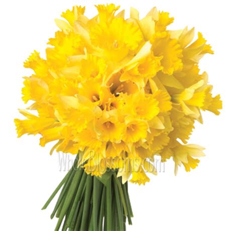By placing this order i agree that: Fresh Cut Wholesale Flowers Online for Sale