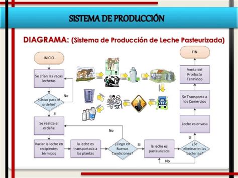 Diagrama De Proceso De Produccion