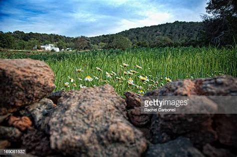Ibiza Landscape Photos And Premium High Res Pictures Getty Images