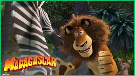 DreamWorks Madagascar em Português Alex Salva o Dia Desenhos