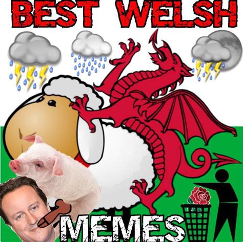 Best Welsh Memes