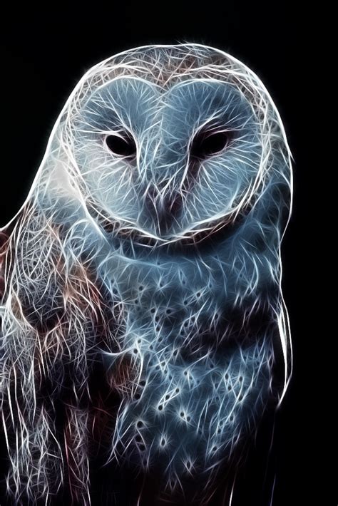 Fractal Owl By Shaylerart On Deviantart Owl Owl Pictures Fractal Art