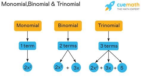 Monomial Definition Degree Monomial Examples