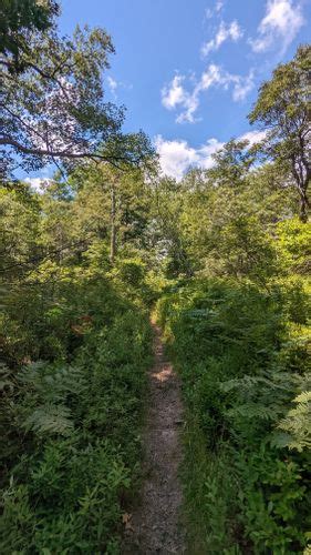 2023 Best Kid Friendly Trails In Pinchot State Forest Alltrails