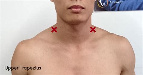 How To Identify Your Muscle Knots And Where To Find Them By