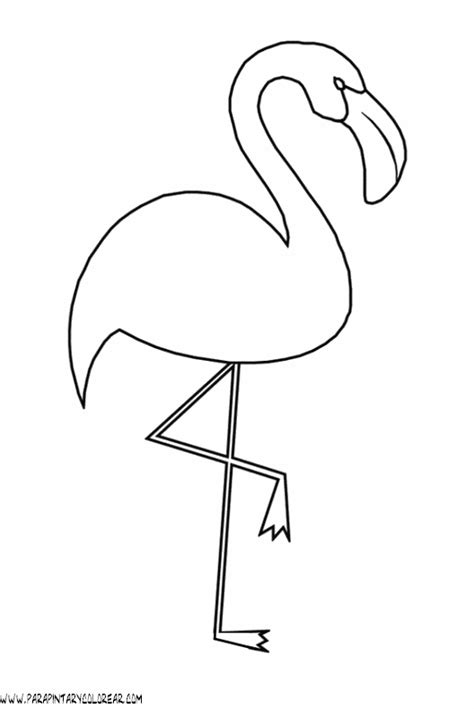 Flamingo Para Pintar Criando Apego
