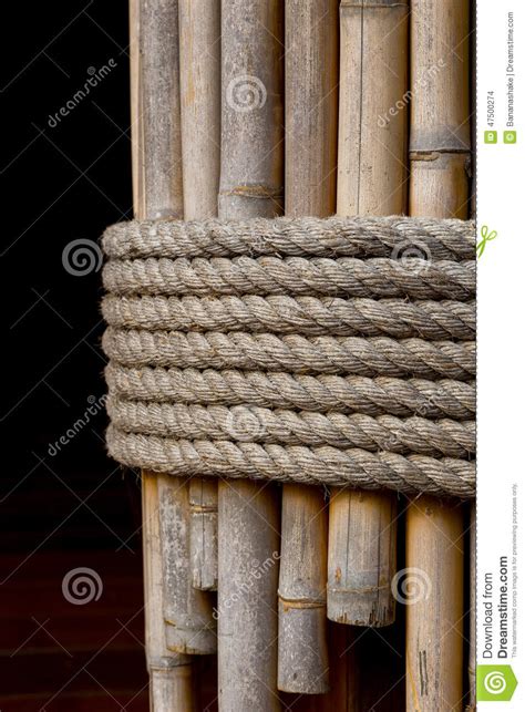 Rope Tie On Bamboo Stock Photo Image Of Wood Hold Texture 47500274