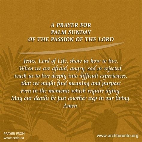 Palm Sunday Prayers Of The Faithful
