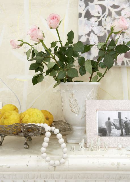 Dish Of Lemons Next To Roses In White Vase 20052010599 の写真素材・イラスト素材｜アマナ