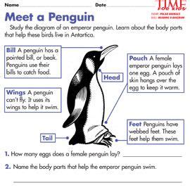 Dive into our wet and wild rivers quiz… how to make arctic art! Antarctica Printables | TIME For Kids - Meet a Penguin ...