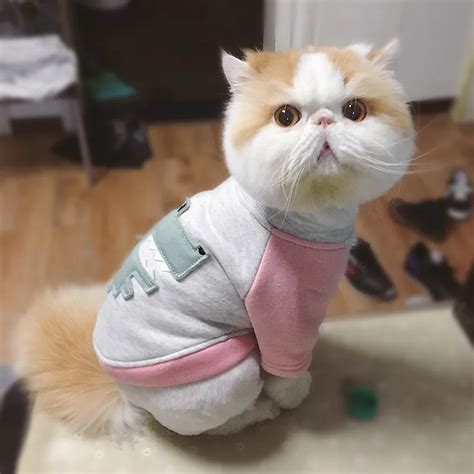 Cat Clothes Cotton Pet Cat Clothing For Small Cats Costume Kitten