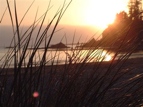 Sunset With Dune Grass Rian Henderson Flickr
