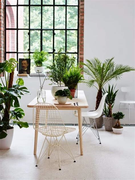 Ideas Of How To Display Indoor Plants Harmoniously
