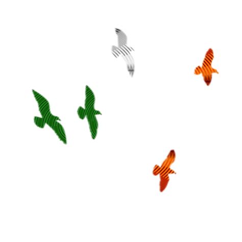 Flying Birds Png Image