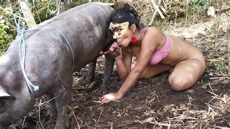 Новое зоо порно бразильской телки с кабаном смотреть в k