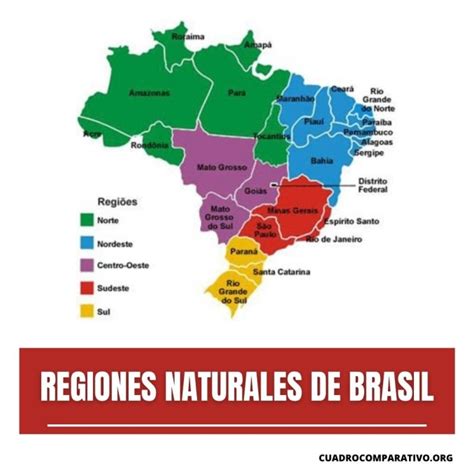 Cuadros sinópticos de las regiones naturales de Brasil Cuadro Comparativo